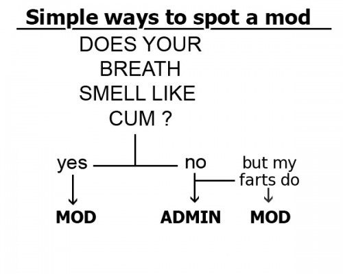 mods.jpg