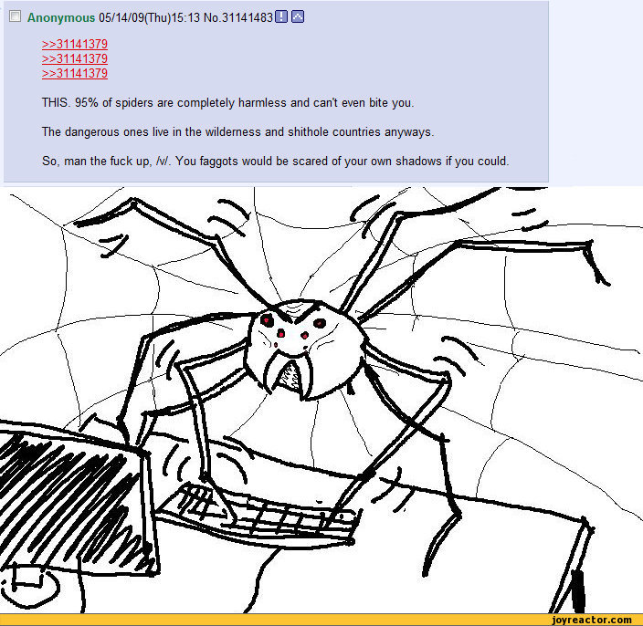 spiders are harmless.jpg