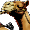 sv camel.png