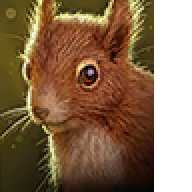 RobotSquirrel