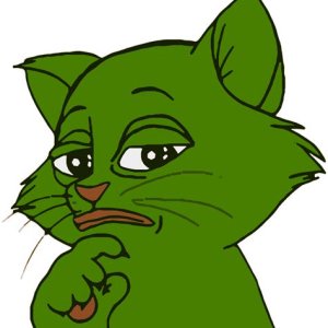 Cat_pepe.jpg